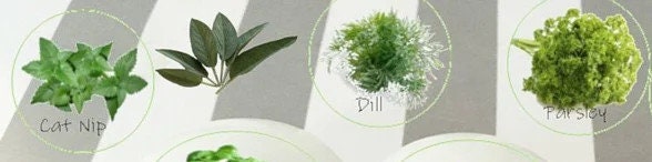 Herb Garden Cabinet Knobs – Set of Decorative Kitchen Drawer Pulls with Basil, Thyme, Oregano, Rosemary & More | Botanical Kitchen Hardware