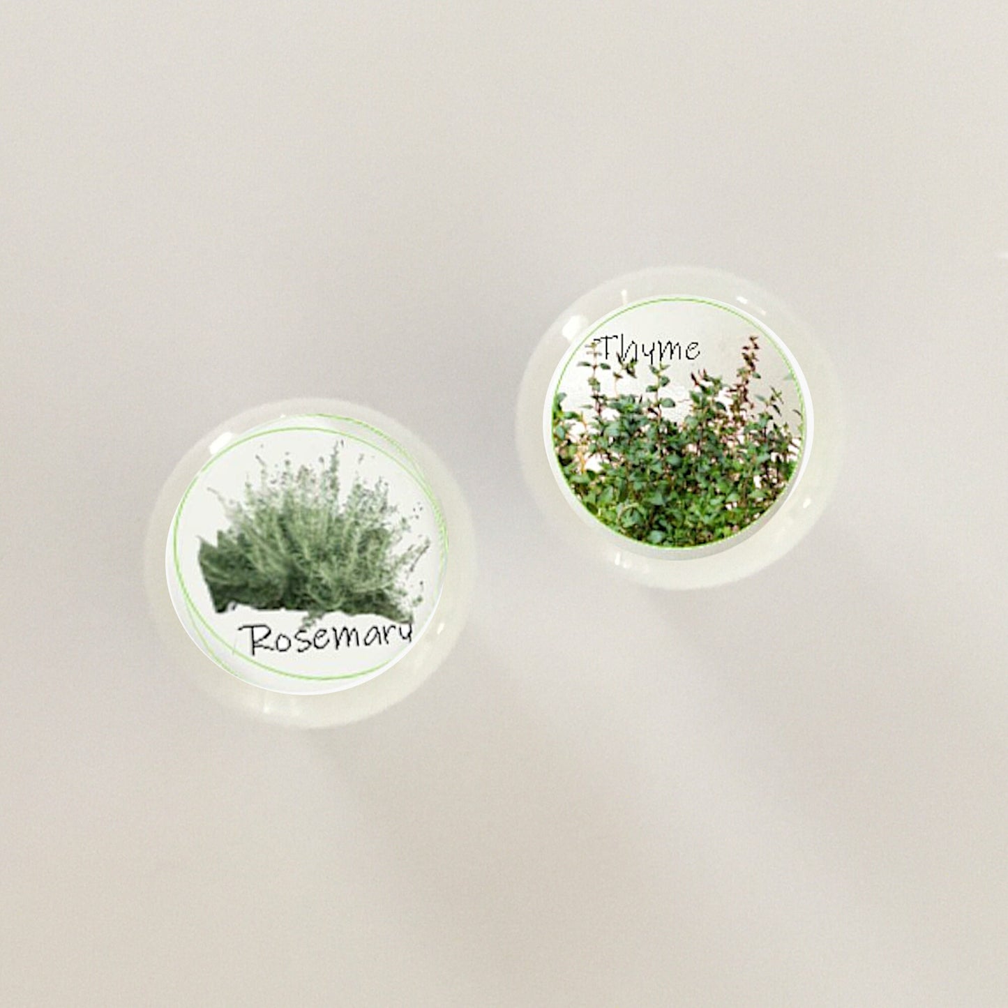 Herb Garden Cabinet Knobs – Set of Decorative Kitchen Drawer Pulls with Basil, Thyme, Oregano, Rosemary & More | Botanical Kitchen Hardware