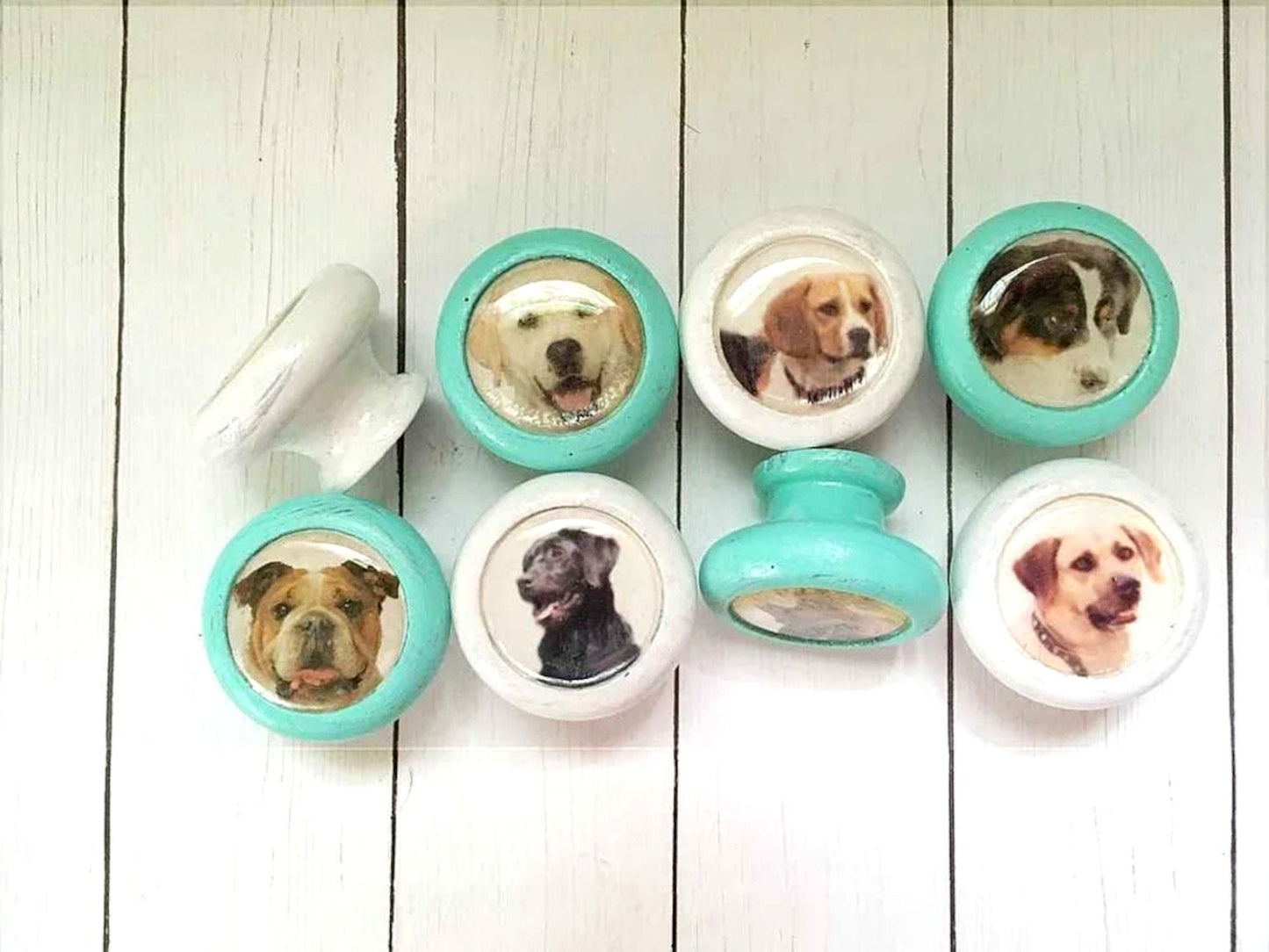 Cute Dog Lovers Knobs for Dressers, Personalized Drawers and Cabinet Doors, Kids' Room Decor, Gift Pet Lover, Veterinary Office, Pet Salon