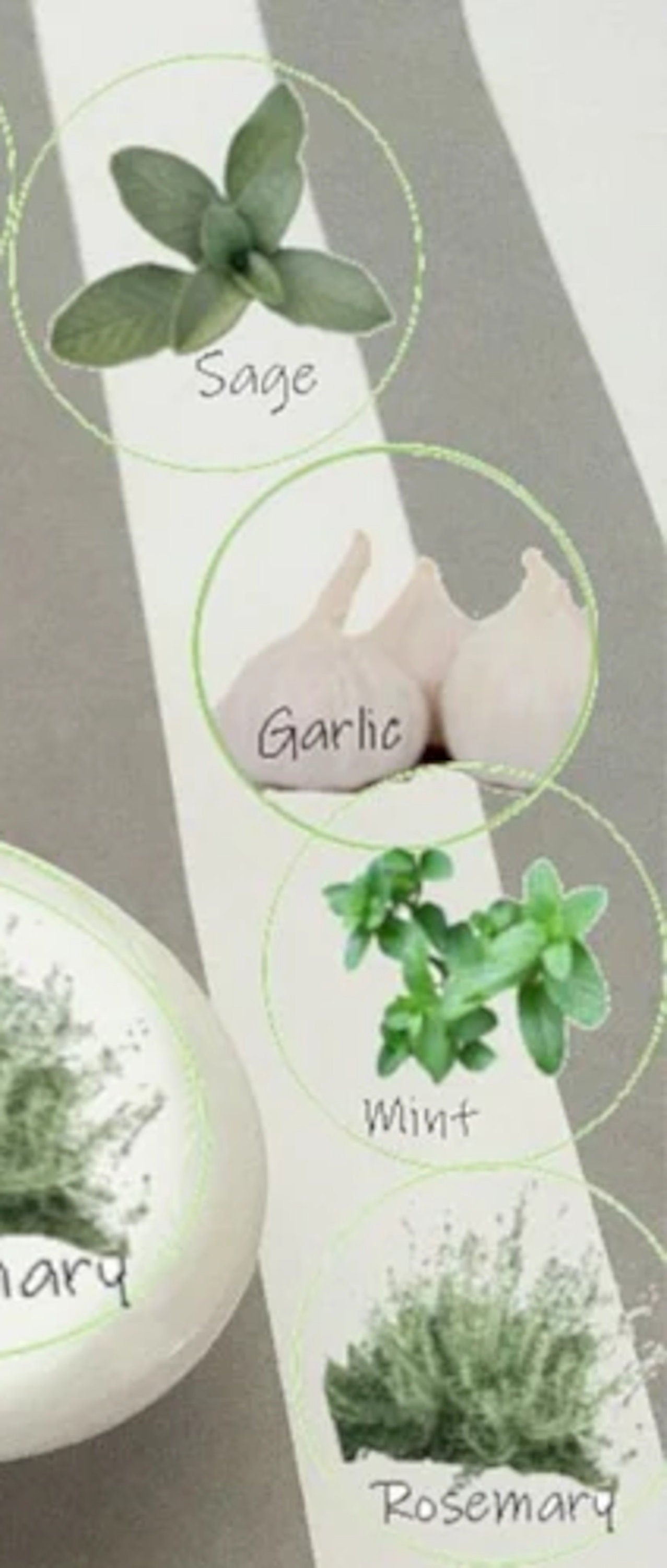 Herb Garden Cabinet Knobs – Set of Decorative Kitchen Drawer Pulls with Basil, Thyme, Oregano, Rosemary & More | Botanical Kitchen Hardware