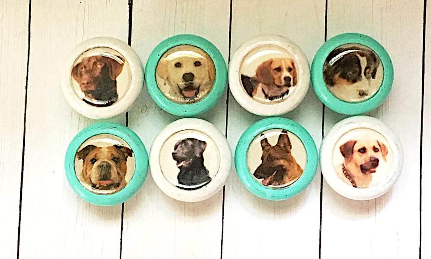 Cute Dog Lovers Knobs for Dressers, Personalized Drawers and Cabinet Doors, Kids' Room Decor, Gift Pet Lover, Veterinary Office, Pet Salon