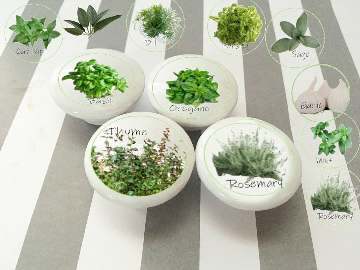 Herb Garden Cabinet Knobs – Set of Decorative Kitchen Drawer Pulls with Basil, Thyme, Oregano, Rosemary & More | Botanical Kitchen Hardware