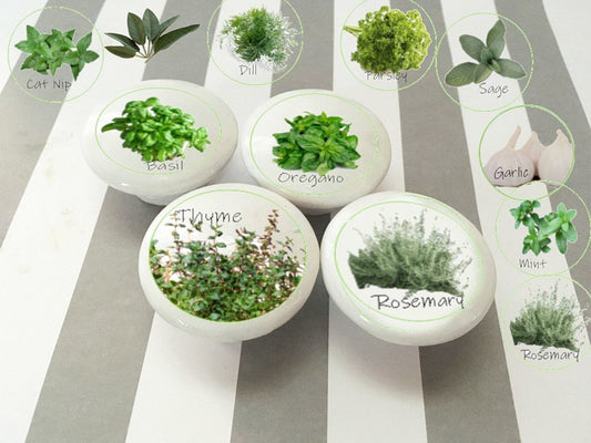 Herb Garden Cabinet Knobs – Set of Decorative Kitchen Drawer Pulls with Basil, Thyme, Oregano, Rosemary & More | Botanical Kitchen Hardware
