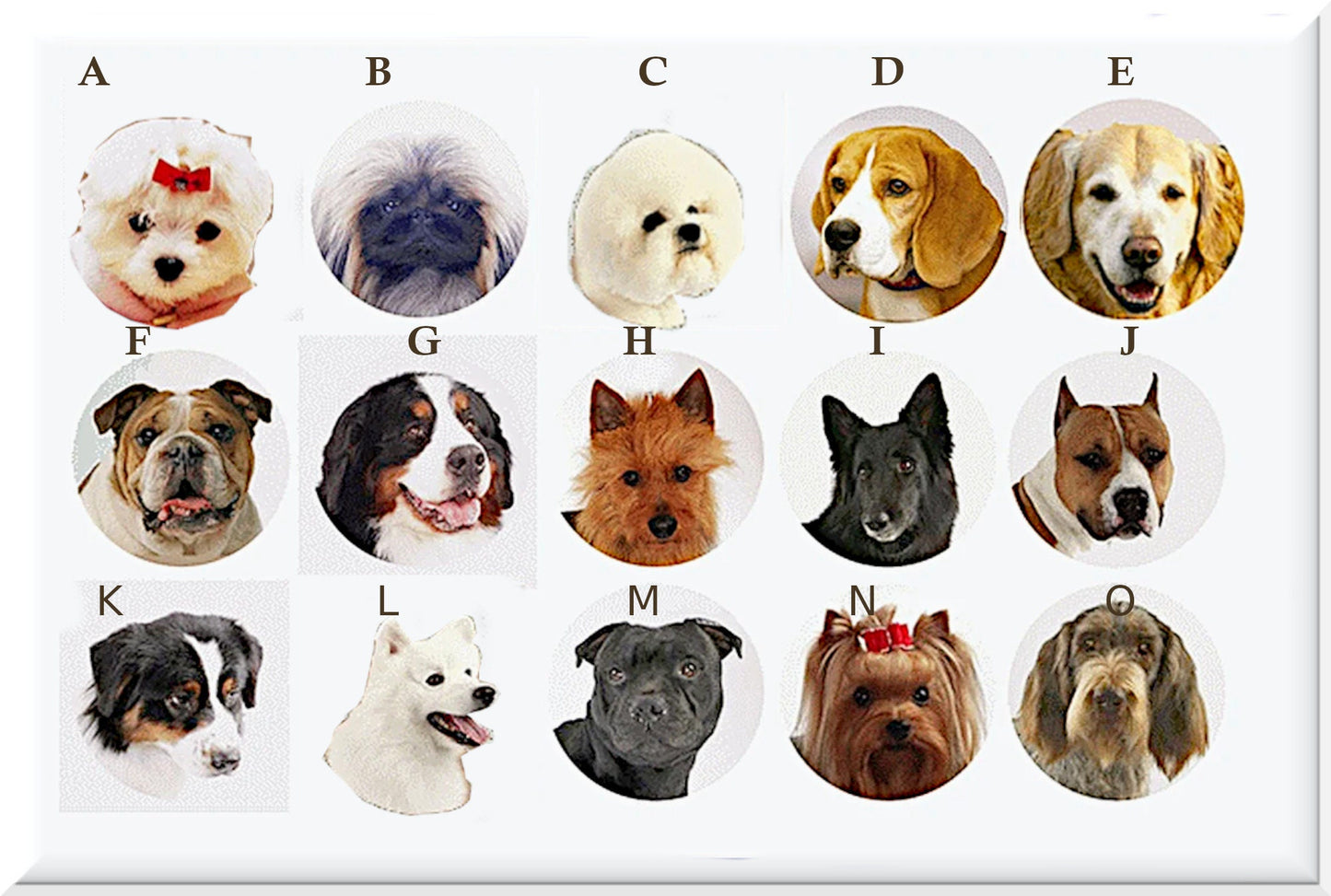 Cute Dog Lovers Knobs for Dressers, Personalized Drawers and Cabinet Doors, Kids' Room Decor, Gift Pet Lover, Veterinary Office, Pet Salon