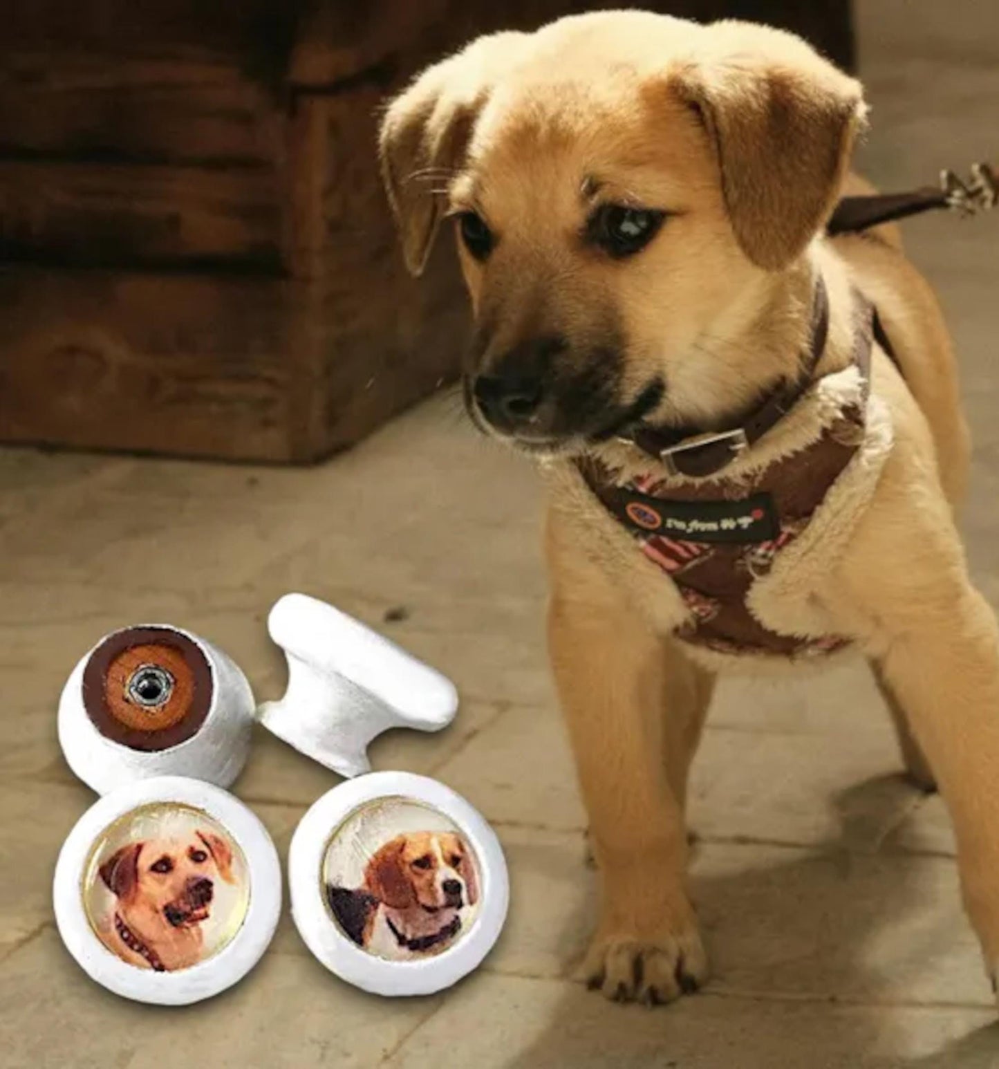 Cute Dog Lovers Knobs for Dressers, Personalized Drawers and Cabinet Doors, Kids' Room Decor, Gift Pet Lover, Veterinary Office, Pet Salon