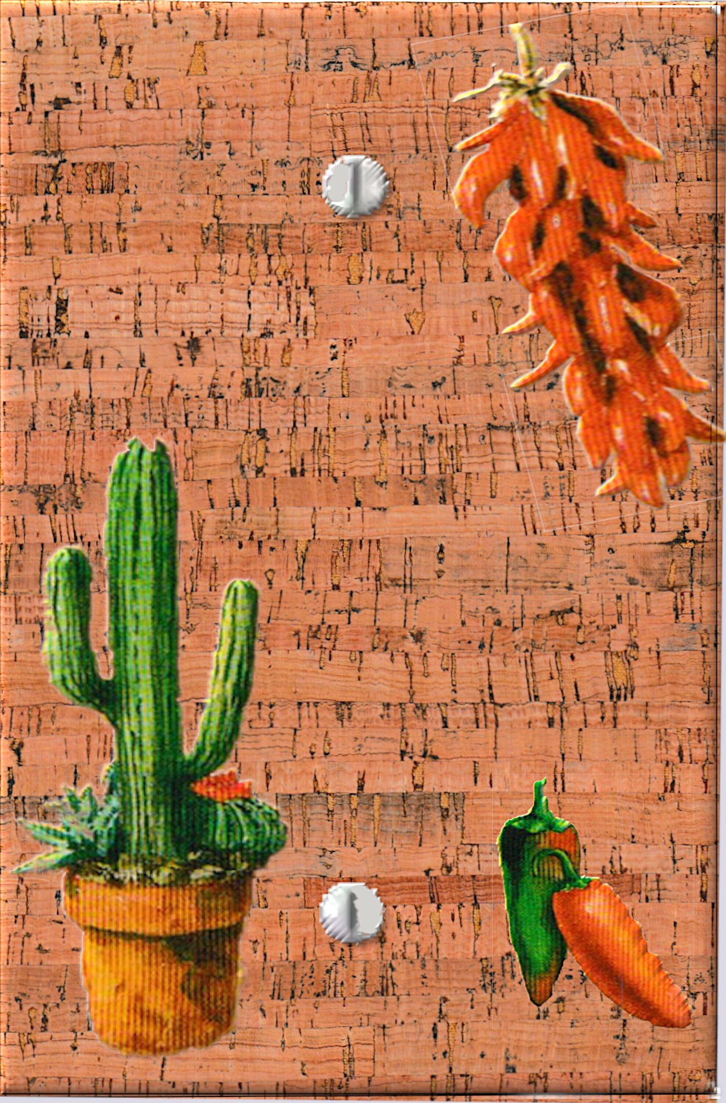 Southwest Wall Decor Switchplate Cover, Wall Plate Outlet Cover, Southwestern Desert Cactus, Wall Decor Electrical Switch Plate Reduced Shpg