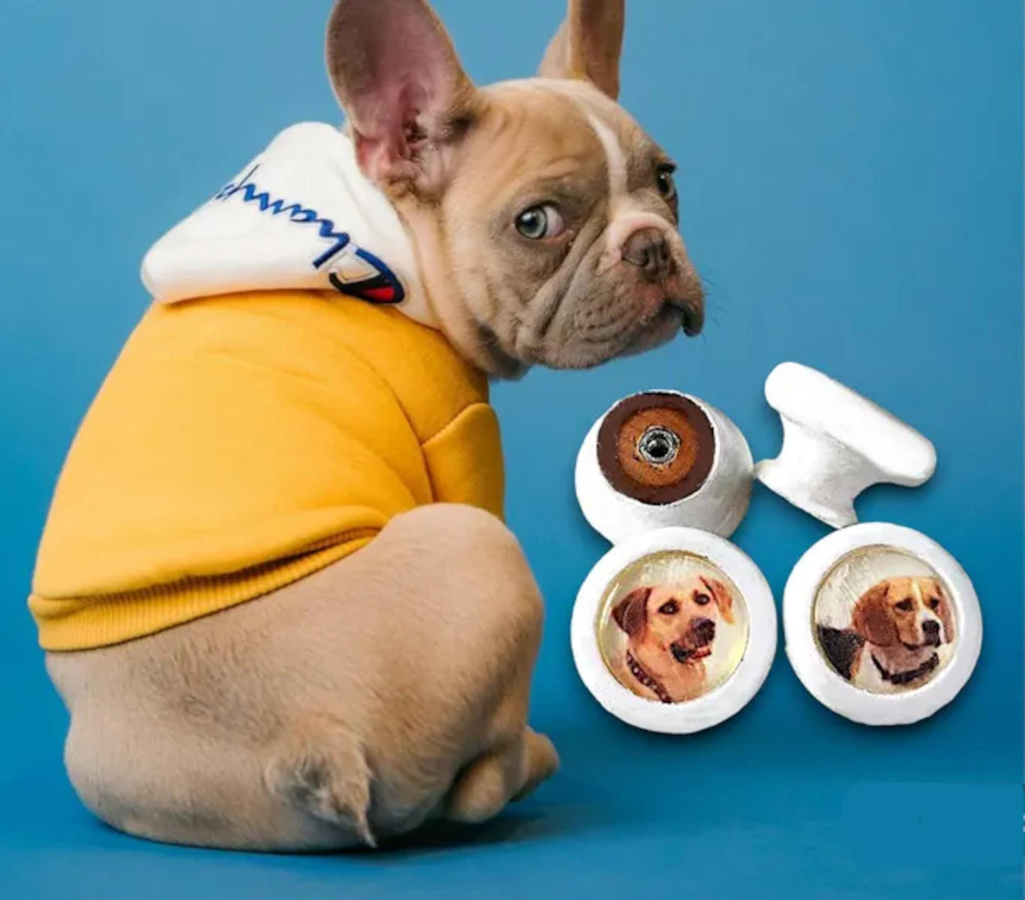 Cute Dog Lovers Knobs for Dressers, Personalized Drawers and Cabinet Doors, Kids' Room Decor, Gift Pet Lover, Veterinary Office, Pet Salon