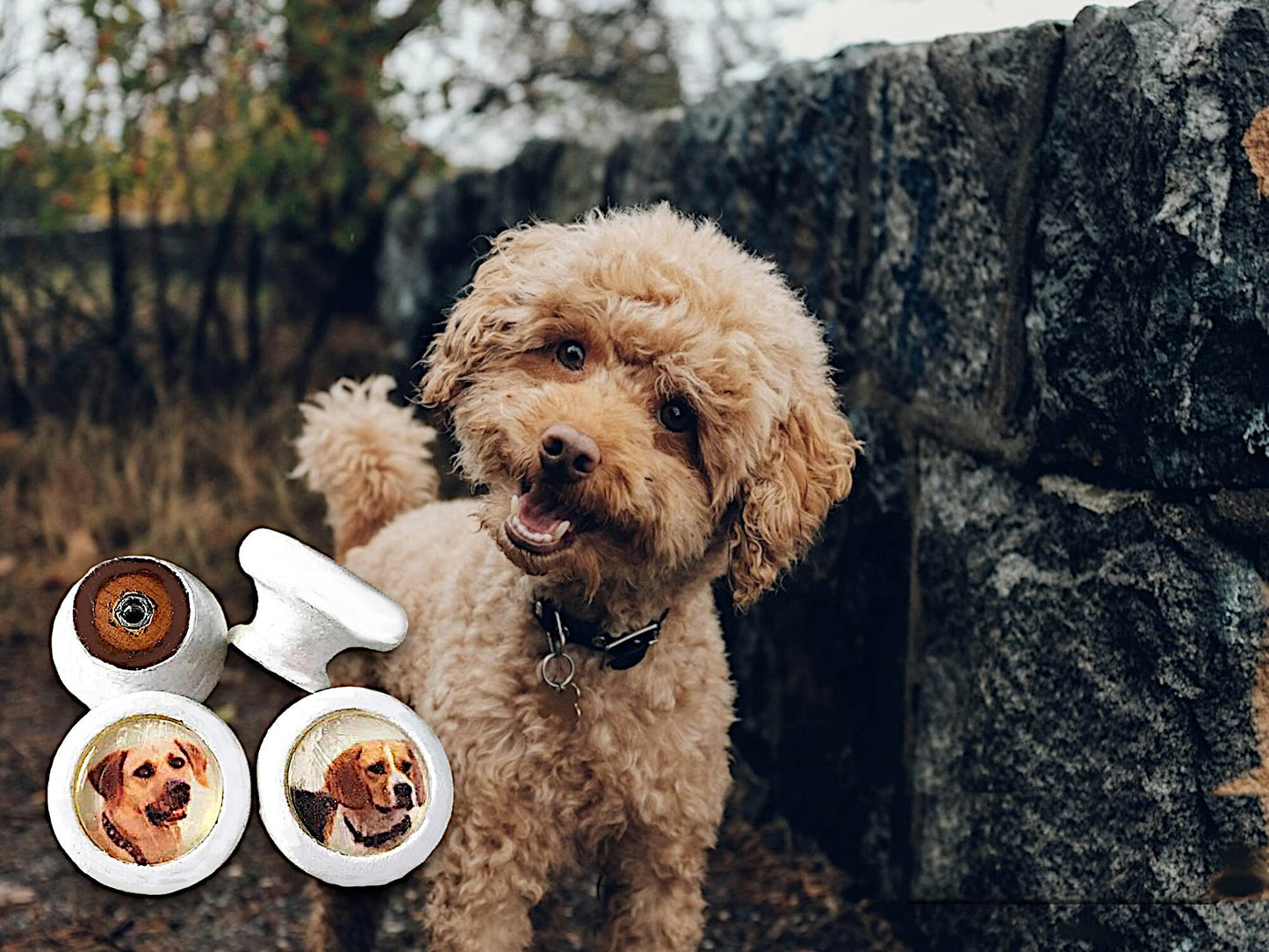 Cute Dog Lovers Knobs for Dressers, Personalized Drawers and Cabinet Doors, Kids' Room Decor, Gift Pet Lover, Veterinary Office, Pet Salon